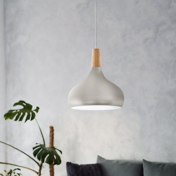 Eglo - Luster na sajli 1xE27/60W/230V prečnika 28 cm srebrna