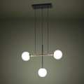 Eglo - Luster na sajli 3xE14/40W/230V zlatna/crna