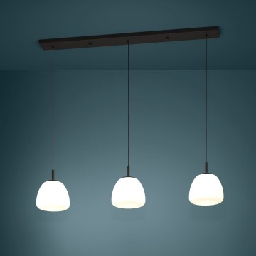 Eglo - Luster na sajli 3xE27/40W/230V crna