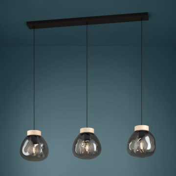 Eglo - Luster na sajli 3xE27/40W/230V zadimljen
