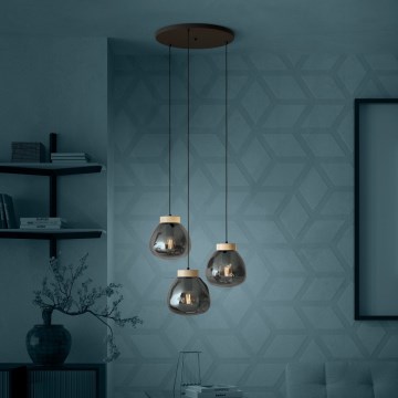 Eglo - Luster na sajli 3xE27/40W/230V, zadimljenog stakla