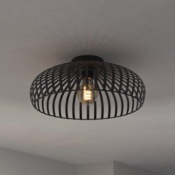 Eglo - Plafonsko svetlo 1xE27/40W/230V fi 43 cm