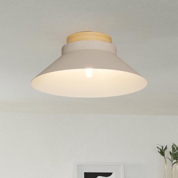 Eglo - Plafonsko svetlo 1xE27/40W/230V