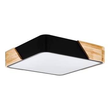 Eglo - Plafonsko svetlo 2xE27/28W/230V