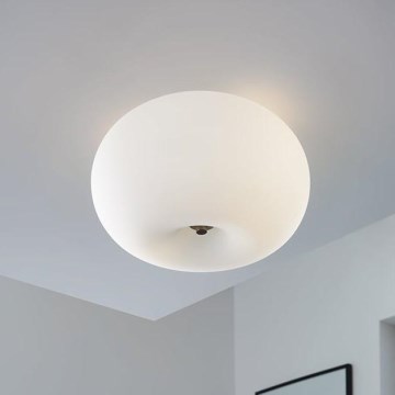 EGLO - Plafonsko svetlo OPTICA, 2x E27/60W, prečnika 28 cm