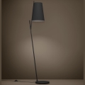 Eglo - Podna lampa 1xE27/40W/230V crna