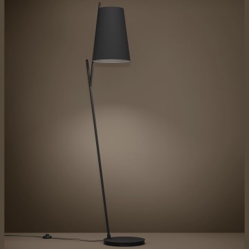 Eglo - Podna lampa 1xE27/40W/230V crna
