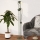 Eglo - Stojeća lampa 2xE14/8W/230V zelena