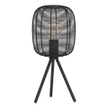 Eglo - Stona lampa 1xE27/40W/230V