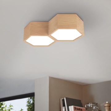 Eglo - Stropna svetiljka 2xE27/9W/230V