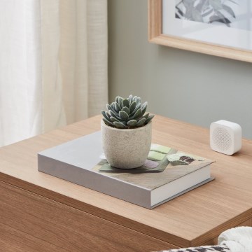 Eglo - Veštačka biljka u saksiji 11x8 cm, sukulent