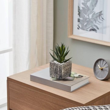 Eglo - Veštačka biljka u saksiji 13x9,5 cm sukulent