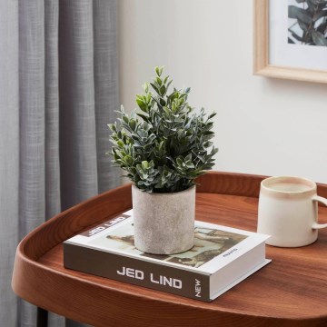 Eglo - Veštačka biljka u saksiji 22x16 cm