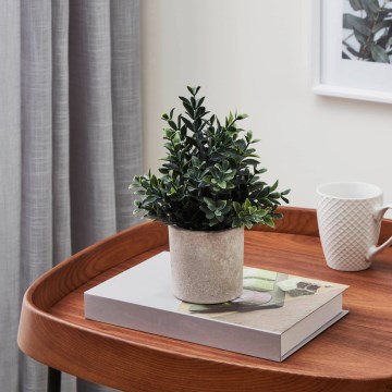 Eglo - Veštačka biljka u saksiji 23x18 cm