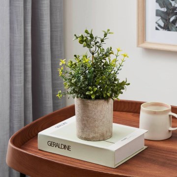 Eglo - Veštačka biljka u saksiji 25x15 cm