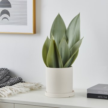 Eglo - Veštačka biljka u saksiji 41,5x28,5 cm