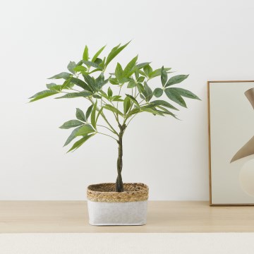 Eglo - Veštačka biljka u saksiji 61x40,6 cm