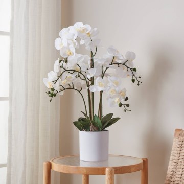 Eglo - Veštačka orhideja u saksiji, 65x50 cm