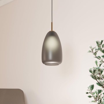 Eglo - Viseći luster na sajli 1xE27/40W/230V
