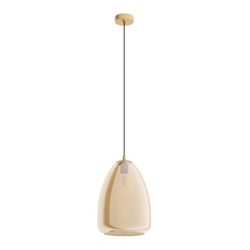 Eglo - Viseći luster na sajli 1xE27/40W/230V
