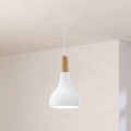 Eglo - viseći luster na sajli 1xE27/60W/230V, prečnik 18 cm, bela