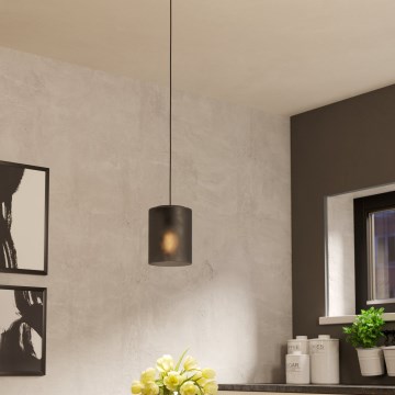 Eglo - Visilica na sajli 1xE27/40W/230V siva