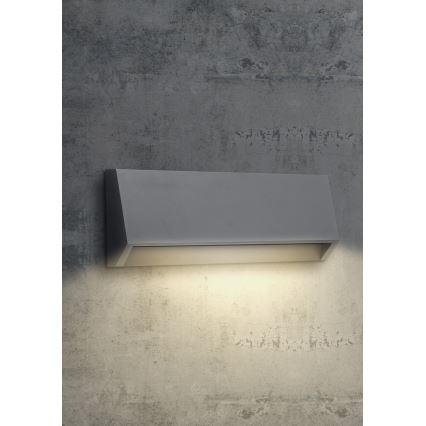 EMITHOR 48330 - LED spoljno zidno svetlo RADIX LED/2,9W/230V IP65