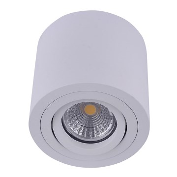 Emithor 48606 - Plafonska spot svetiljka SURFACE 1xGU10/50W/230V