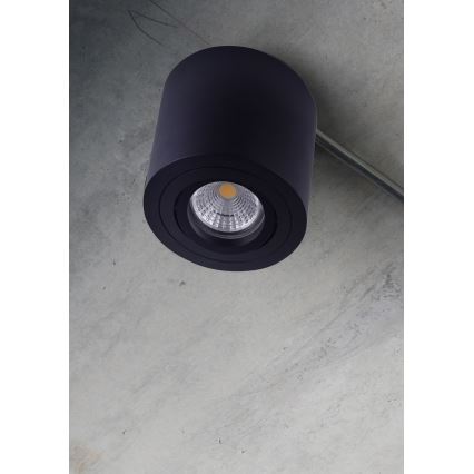 Emithor 48607 - plafonsko spot svetlo SURFACE 1xGU10/50W/230V