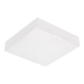 Emithor 63217 - LED plafonsko svetlo SURFACE LED/20W/230V