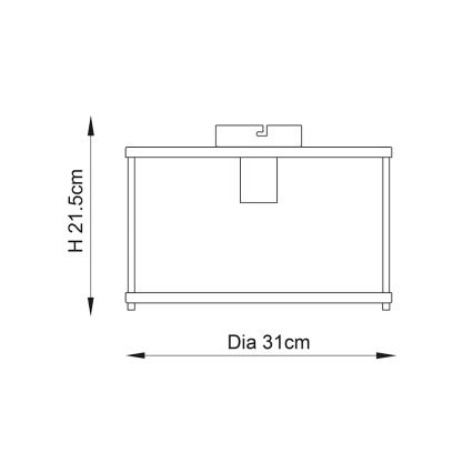 Endon 103112 - Plafonska svetiljka HOPTON 1xE27/10W/230V mat hrom