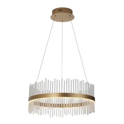 Endon 107671 - LED prigušiva luster na sajli ADRIEL LED/41W/230V 3000K preč. 51 cm zlatna/prozirna