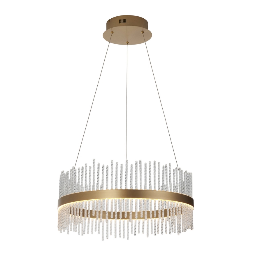 Endon 107671 - LED prigušiva luster na sajli ADRIEL LED/41W/230V 3000K preč. 51 cm zlatna/prozirna