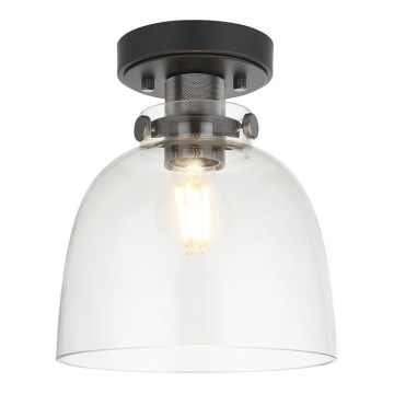 Endon 99106 - Stropno svetlo URBAN 1xE27/10W/230V crna/prozirna