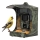 Evolveo - StrongVision BirdFeeder - pametna hranilica za ptice sa kamerom i solarnim panelima