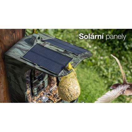 Evolveo - StrongVision BirdFeeder - pametna hranilica za ptice sa kamerom i solarnim panelima