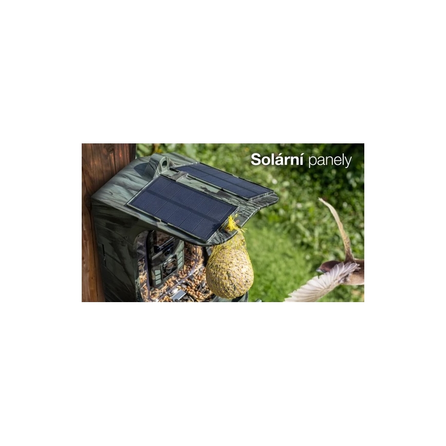 Evolveo - StrongVision BirdFeeder - pametna hranilica za ptice sa kamerom i solarnim panelima