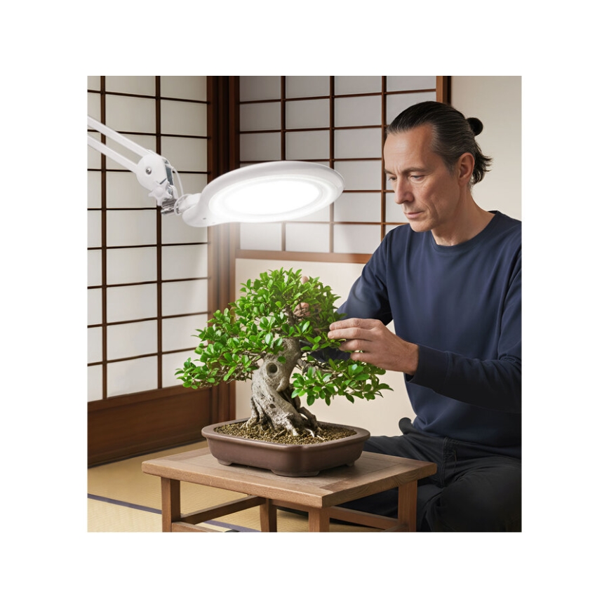 Extol - LED prigušiva stona lampa sa lupom LED/10W/230V bela