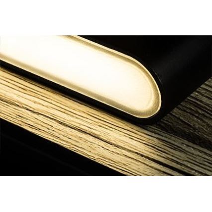 FARO 20062 - LED zidno svetlo MOOD 2xLED/3W + LED/1,5W/230V