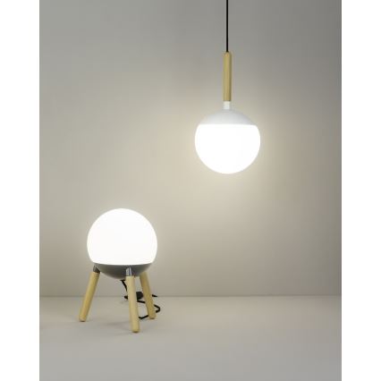 FARO 28375 - Luster na sajli MINE 1xE27/40W/230V