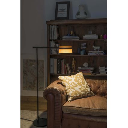 FARO 29569 - LED prigušiva dodirna podna lampa LOOP LED/6W/230V