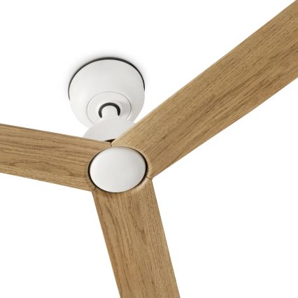 FARO 34370 - Plafonski ventilator MARINE M, prečnik 125 cm, braon/bela, IP44 + daljinski upravljač