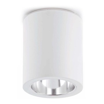FARO 63124 - Plafonsko svetlo POTE 1xE27/60W/230V