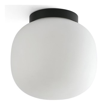 FARO 68611 - Plafonsko svetlo AMELIA 1xE27/15W/230V IP44 bela/crna
