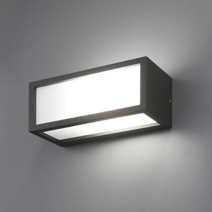 FARO 70573 - Spoljašnja zidna svetiljka TEJO 1xE27/20W/230V IP54