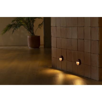 FARO 71962 - LED svetiljka za stepenište DUNE LED/3W/230V 2200/2700/3200/4000K IP65 braon okrugla