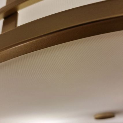 Feiss - Plafonska svetiljka FUSION 3xE27/40W/230V zlatna