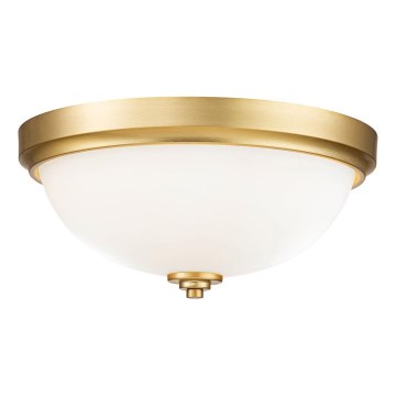 Feiss - Plafonsko svetlo za kupatilo MALIBU 2xE27/60W/230V IP44