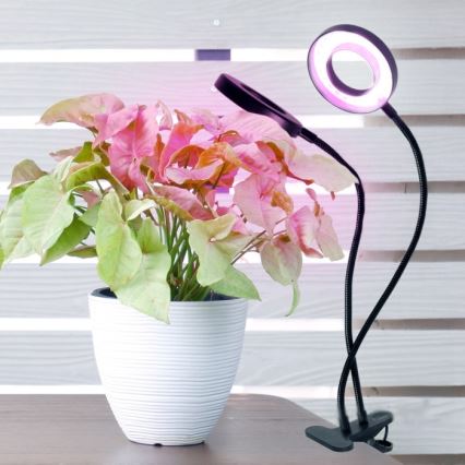 LED prigušiva fleksibilna stona lampa sa klipsom za uzgoj biljaka VITARO 2xLED/4W/230V crna