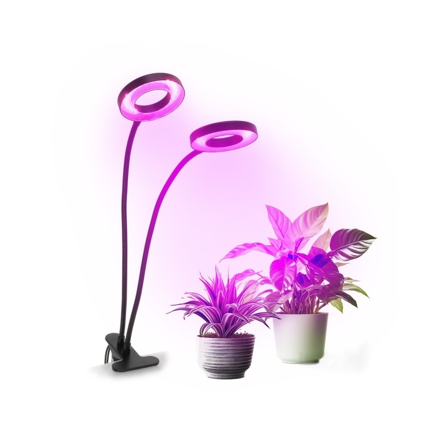 LED prigušiva fleksibilna stona lampa sa klipsom za uzgoj biljaka VITARO 2xLED/4W/230V crna